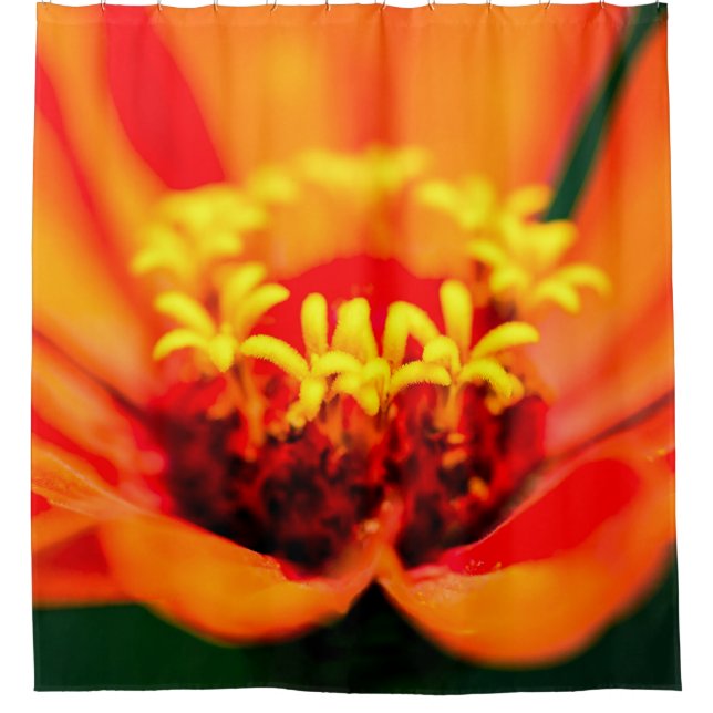 Zinnia Blume - Geheimgarten Duschvorhang (Vorderseite)