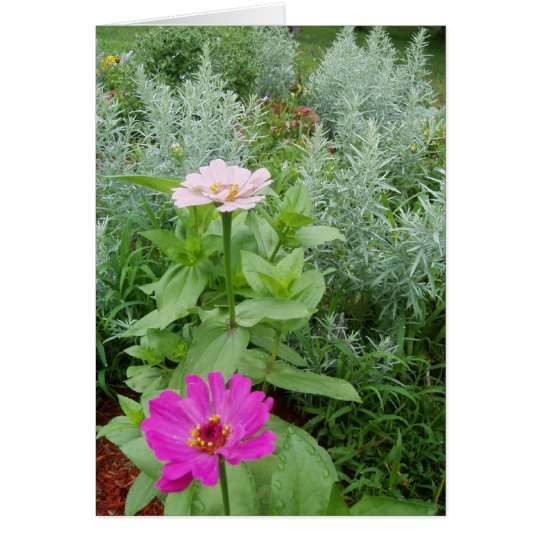 Zinnia-Garten Karte
