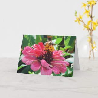 Zinnia Honey Bee Karte