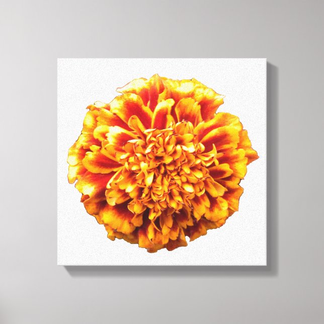 Zinnia Leinwanddruck (Vorderseite)