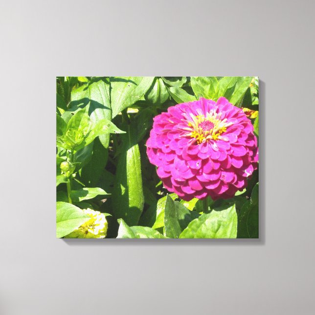 Zinnia Leinwanddruck (Vorderseite)
