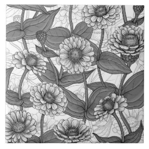 Zinnia, Monochom auf weiß Fliese