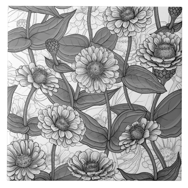 Zinnia, Monochom auf weiß Fliese (Vorderseite)
