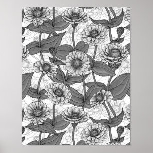 Zinnia, Monochom auf weiß Poster