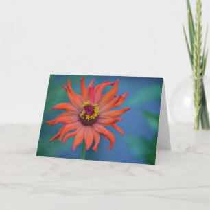Zinnia Note Card Karte