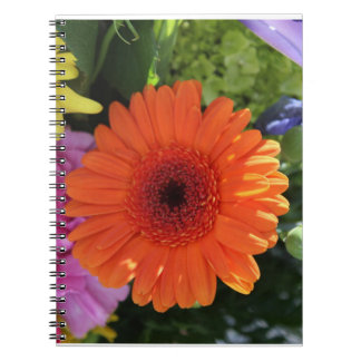Zinnia Notizblock