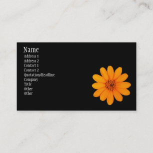 Zinnia-Orangen-Überfluss Visitenkarte