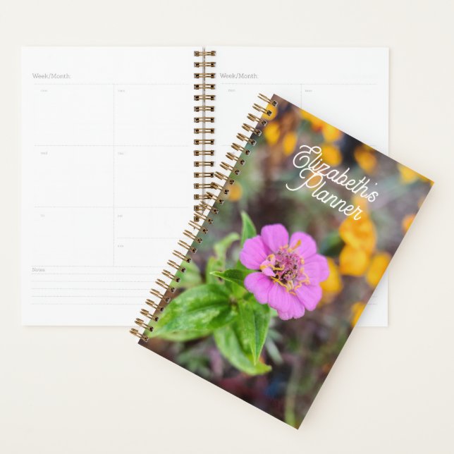 Zinnia Planer - Originalfotografie (Anzeige)