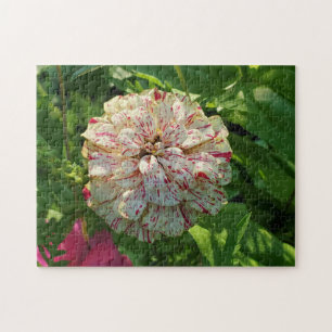 Zinnia Puzzle