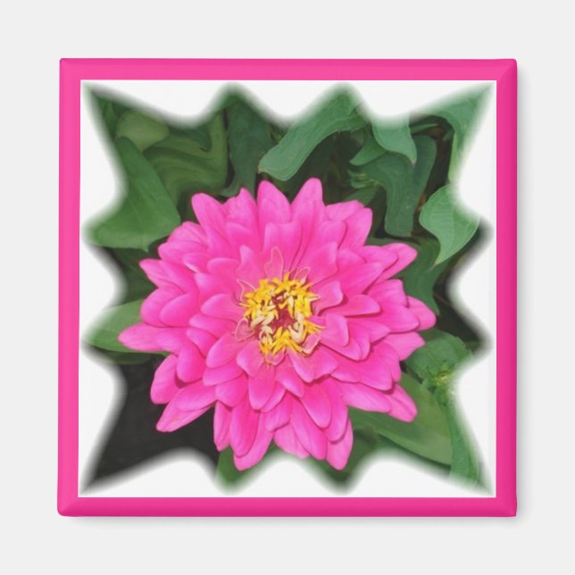 Zinnia star1 magnet (Vorne)