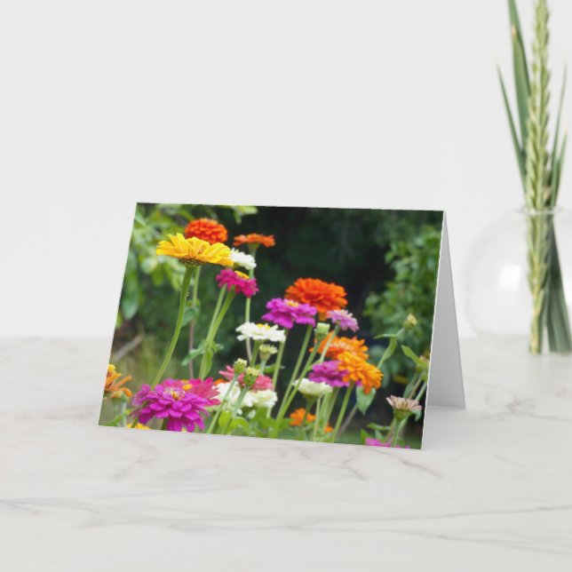"Zinnias 5." Grußkarte Karte (Vorderseite)