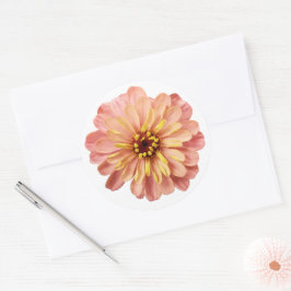 Zinnias Blume Naturfotografie Runder Aufkleber