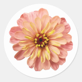Zinnias Blume Naturfotografie Runder Aufkleber