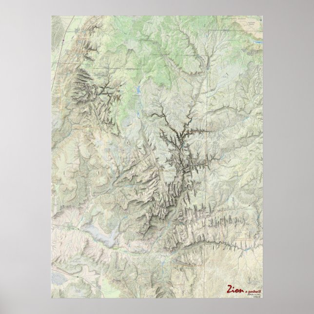 Zion: A Portrait (map) Poster (Vorne)