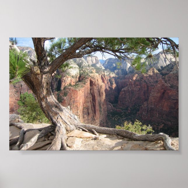 Zion - Angels Landing Poster (Vorne)