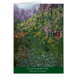 Zion Canyon: Bereavement