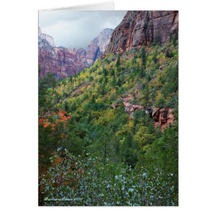 Zion Canyon Nationalpark