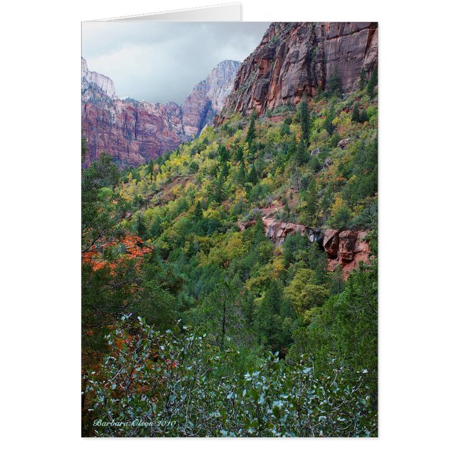 Zion Canyon Nationalpark (Vorne)