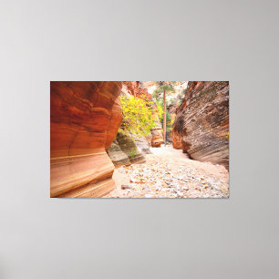 Zion Canyon Schlucht Leinwanddruck