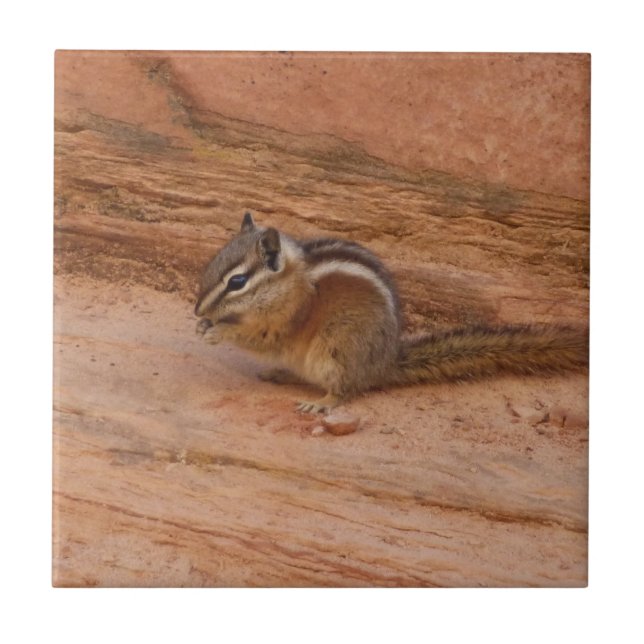 Zion Chipmunk auf Red Rocks Fliese (Vorderseite)
