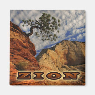 Zion Magnat Magnet