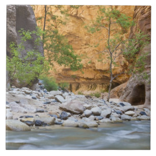 Zion Narrows Fliese