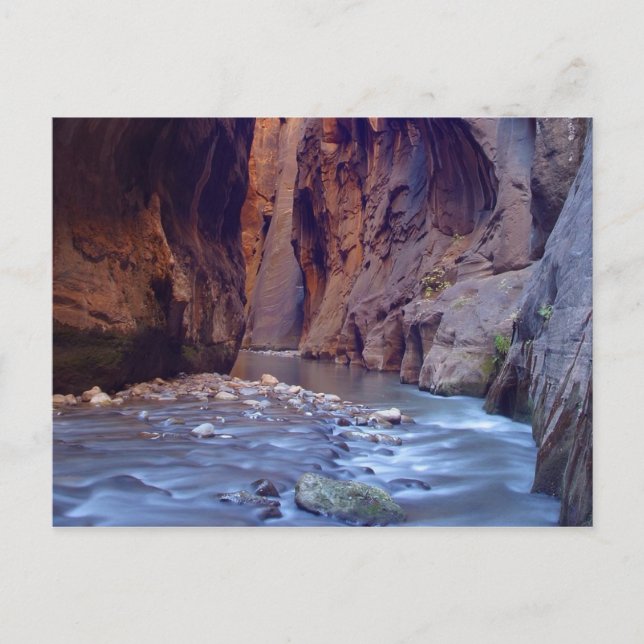 Zion Narrows Nationalpark Postcard Postkarte (Vorderseite)