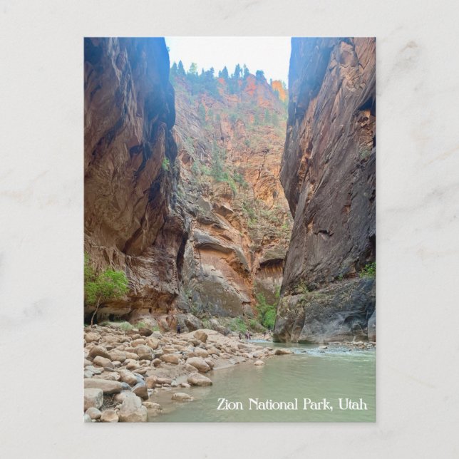 Zion National Park Postcard Postkarte (Vorderseite)