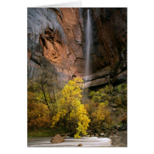 Zion National Park, Utah. USA. Ephemer
