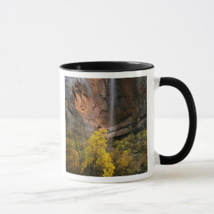 Zion National Park, Utah. USA. Ephemer Tasse