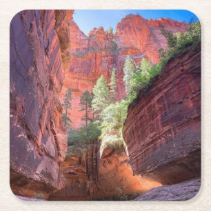 Zion National Park, Utah, USA Rechteckiger Pappuntersetzer