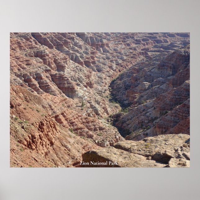 Zion-Nationalpark Poster (Vorne)