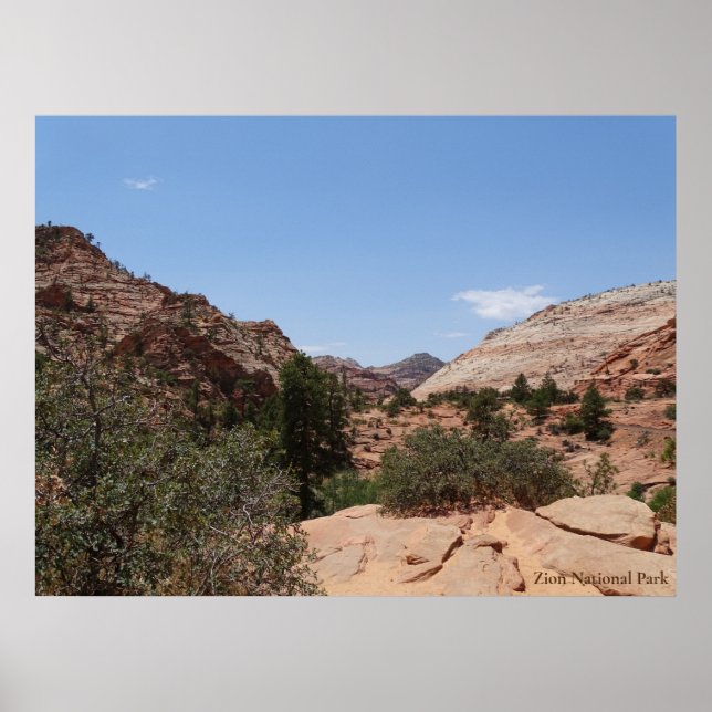 Zion-Nationalpark Poster (Vorne)