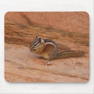 Zion-Streifenhörnchen auf roten Felsen Mousepad