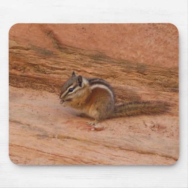 Zion-Streifenhörnchen auf roten Felsen Mousepad (Vorne)