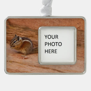 Zion-Streifenhörnchen auf roten Felsen Rahmen-Ornament Silber