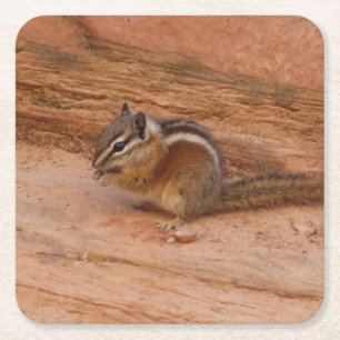 Zion-Streifenhörnchen auf roten Felsen Rechteckiger Pappuntersetzer