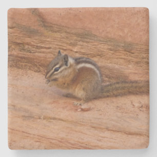 Zion-Streifenhörnchen auf roten Felsen Steinuntersetzer
