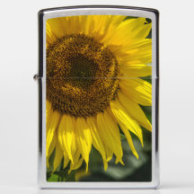 Zippo Feuerzeug - Gelbe Sonnenblume