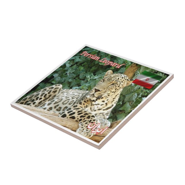 zIR06 PERSIAN LEOPARD, Iran, Asien, Fliese (Seite)