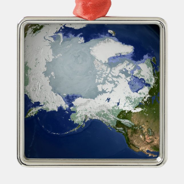 Zirkus-Arktische Permafrost Ornament Aus Metall (Vorne)
