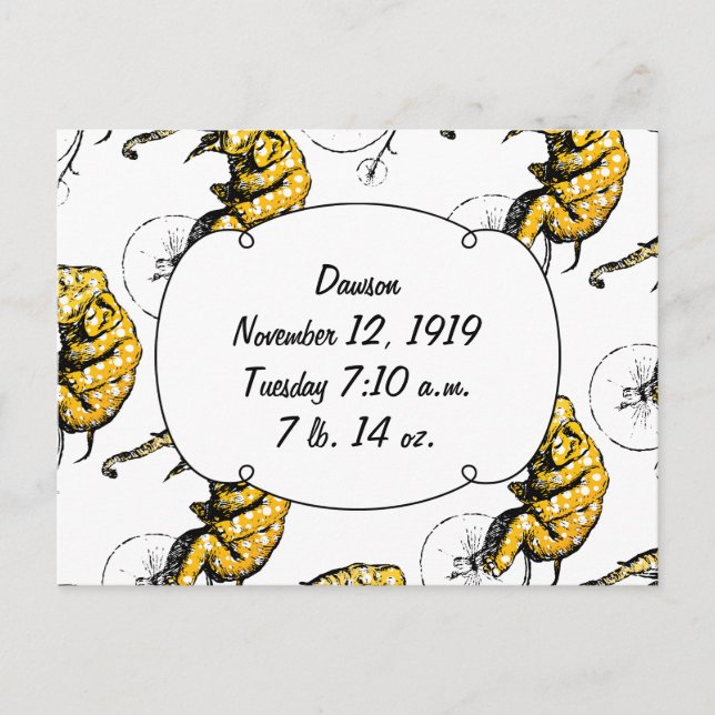 Zirkus Elefant Geschenke Postkarte (Vorderseite)
