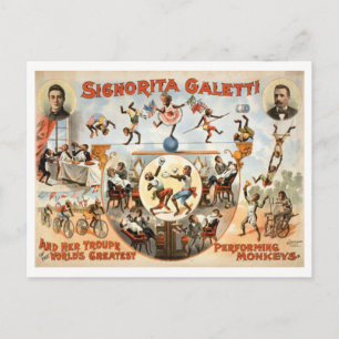 Zirkus Galetti und tanzende Affen aus alten Zeiten Postkarte
