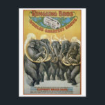 ZirkusElefanten-Blaskapelle Postkarte<br><div class="desc">Über: # Titel: Ringling Bros. Die größten Shows der Welt ...  die lustige,  wunderbare Elefantenkapelle ...  # Datum erstellt/veröffentlicht: Buffalo : Courier Litho. Co.,  c1899. # Mittel: 1 Druck (Plakat) : Farbe ; 106 x 72 cm. # Zusammenfassung: Fünf Elefanten spielen Tubas.</div>