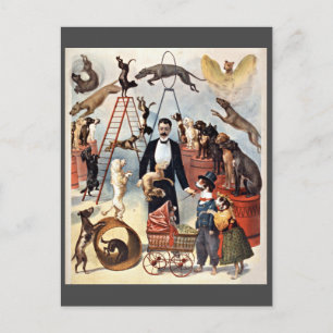 Zirkushunde, Vintage-Illustration, Postkarte