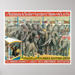 Zirkusplakat mit Elefanten und Tieren in Käfigen Poster