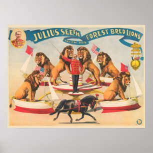 Zirkusplakat von Julius Seeth mit seinen Löwen Poster