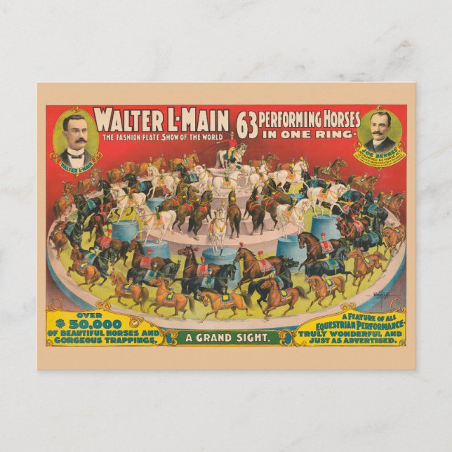 Zirkusposter mit 63 Darstellenden Pferden in einem Postkarte (Vorderseite)