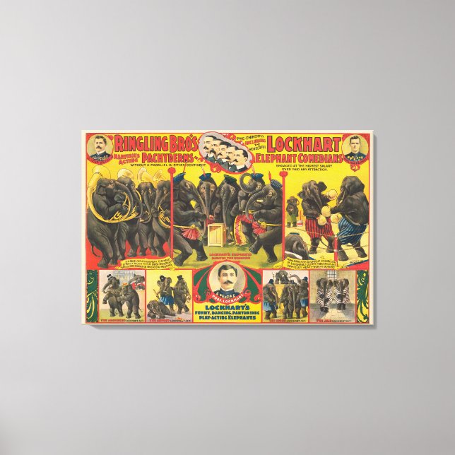 Zirkusposter von Elefanten Darstellend Leinwanddruck (Vorderseite)