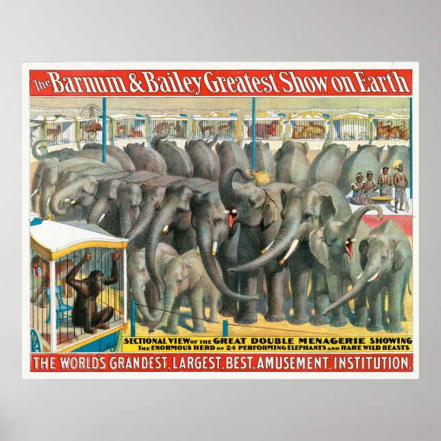 Zirkusposter von Elefanten und Tieren in Käfigen Poster (Vorne)
